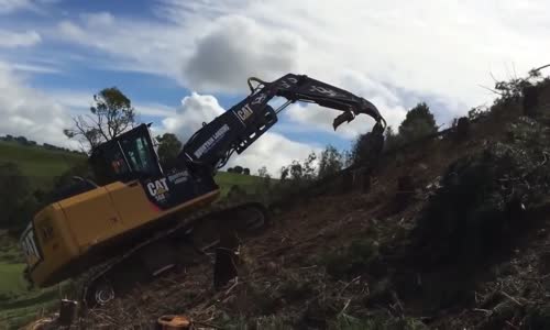 modern tree cutting machine most amazing forestry equipment compilation in the world 