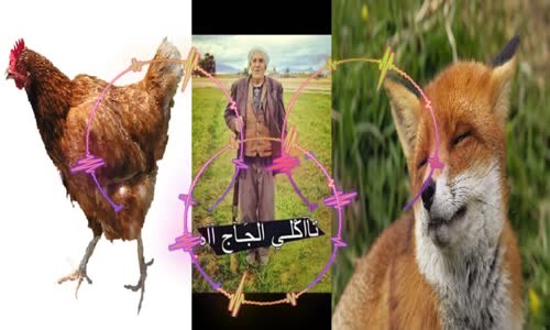 اغنية تاكلي دجاج اه