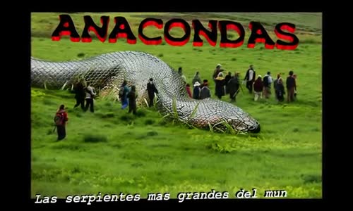 ANACONDAS GIGANTES REALES_ Anacondas mas grandes del mundo – Animales salvajes