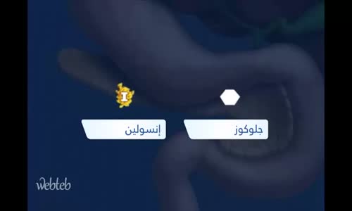 فيديو يشرح مرض السكري بشكل رائع