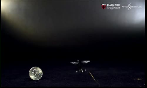 Harvard Scientists Demonstrate First Flight of the Robobee 