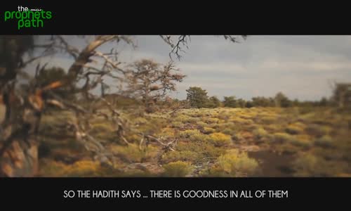 Wait For The Roses  - Powerful Reminder - Mufti Menk