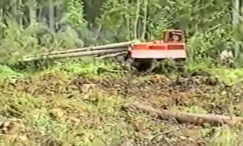 Awesome Machines -  Tree-Killing Machines 