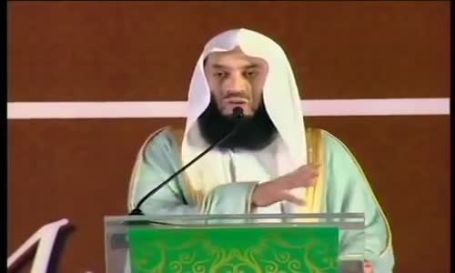 Does a Working Woman Contribute to the Family _ Mufti Menk