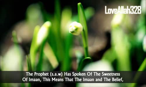 The Sweetness Of Iman    Amazing Reminder   Mufti Ismail Menk