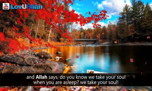 Dua Before Sleeping  - Mufti Menk
