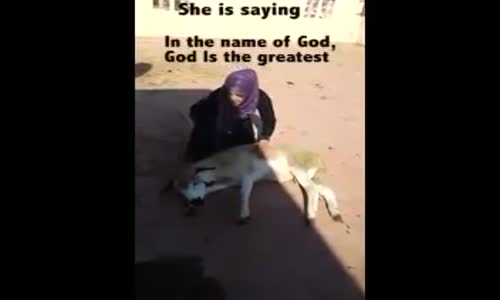 Sheep Submits with God's name in 30 Seconds