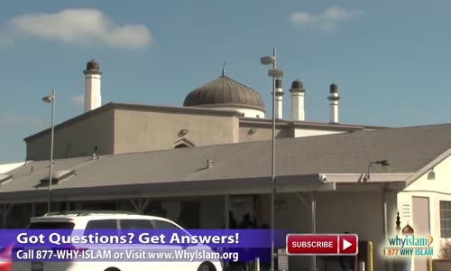 Americans Visiting Mosques in USA