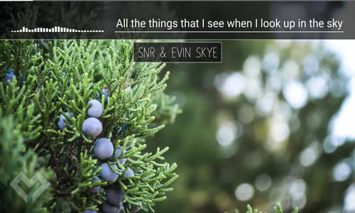 [LYRICS] SNR & Evin Skye  Can You See  [Hyraxe Remix] 