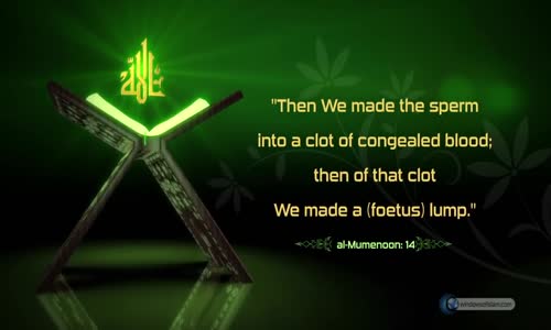 Lump of Chewed Meat   Incredible Quran