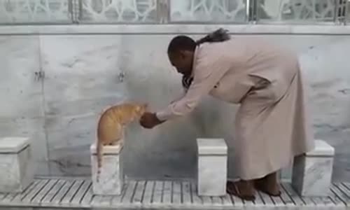 He waited for the Cat to finish drinking then he went to Pray