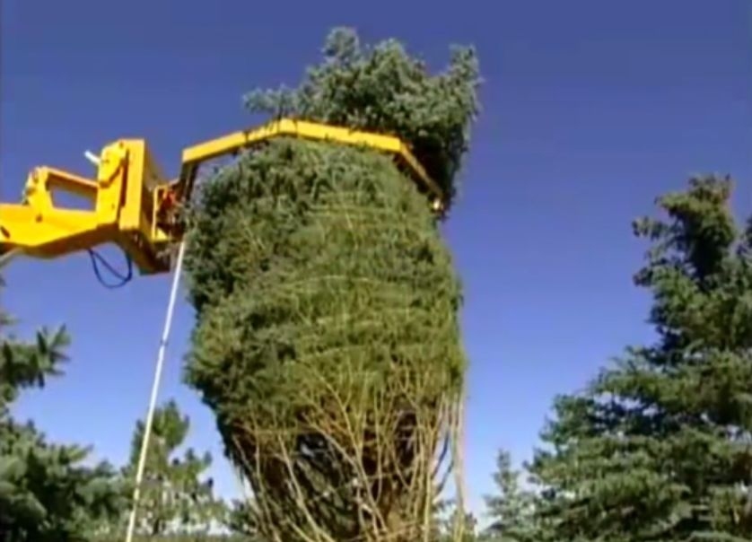 amazing machinery compilation modern tree moving machine in the world 