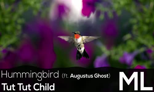 [LYRICS] Tut Tut Child  Hummingbird (ft. Augustus Ghost) 