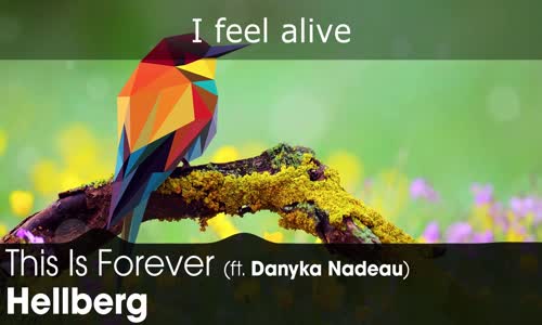 LYRICS Hellberg  This Is Forever (ft. Danyka Nadeau) 