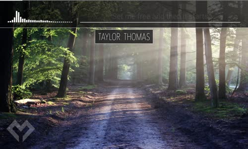 LYRICS Taylor Thomas  Heartbreaker (ft. Lauren Cole) Xan Griffin Remix 