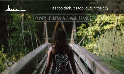 LYRICS Oliver Heldens & Shaun Frank  Shades Of Grey (ft. Delaney Jane) Erisimilian Remix 