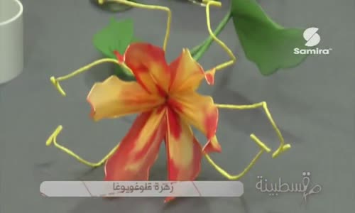 ‫زهرة قلوغويوغا حصة قسطبينة  ‬‎