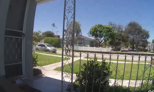 Steve Urkel Spotted Stealing Package From Porch 