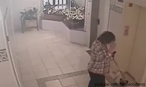 Dog Escapes Near Death in an Elevator 
