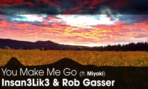 LYRICS Insan3Lik3 & Rob Gasser  You Make Me Go (ft. Miyoki) 