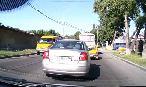 Pedestrian scared of dog gets hit by van 