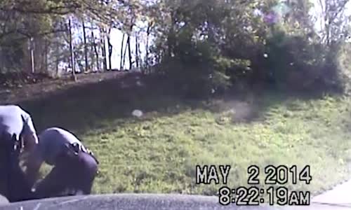 Officer pleads guilty to excessive force 