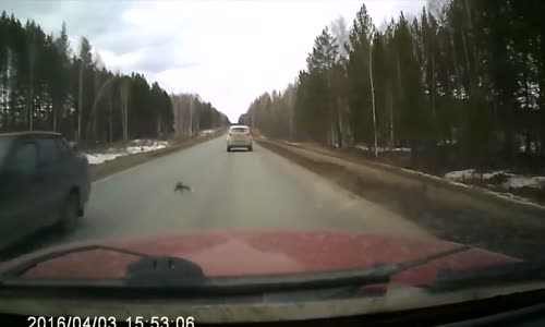 Russian High Speed Rollover Crash 