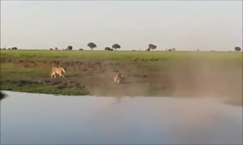 ‫عالم الافتراس(4)‬‎ 