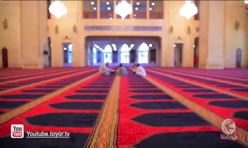 ‫ليه ما بتقرأ  محمد بشار  ‬‎ 