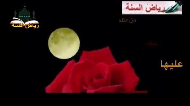 كيف تجد المرأة حلاوة  الإيمان