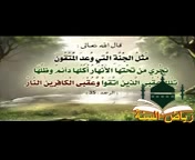 مثل الجنة التي وعدتم بها