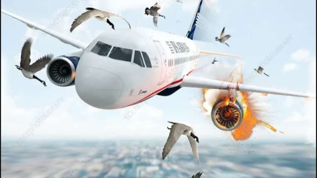 تحقيقات الكوارث الجوية: الاختبار الفتاك  طائرة ايرباص 2021