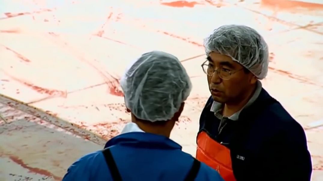 وثائقي - اليابانيون وهوس سمك التون