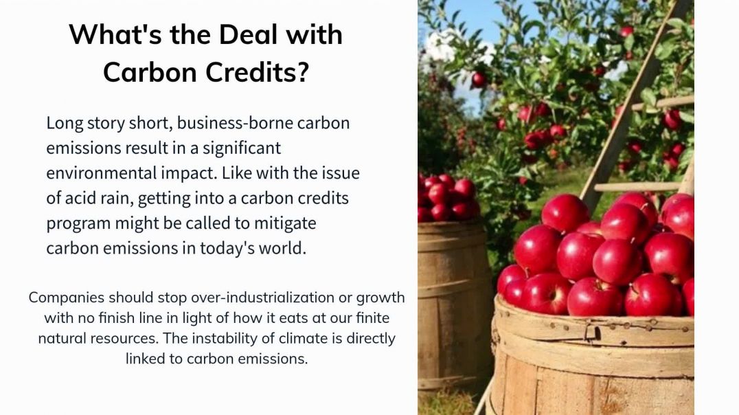 Carbon Credits