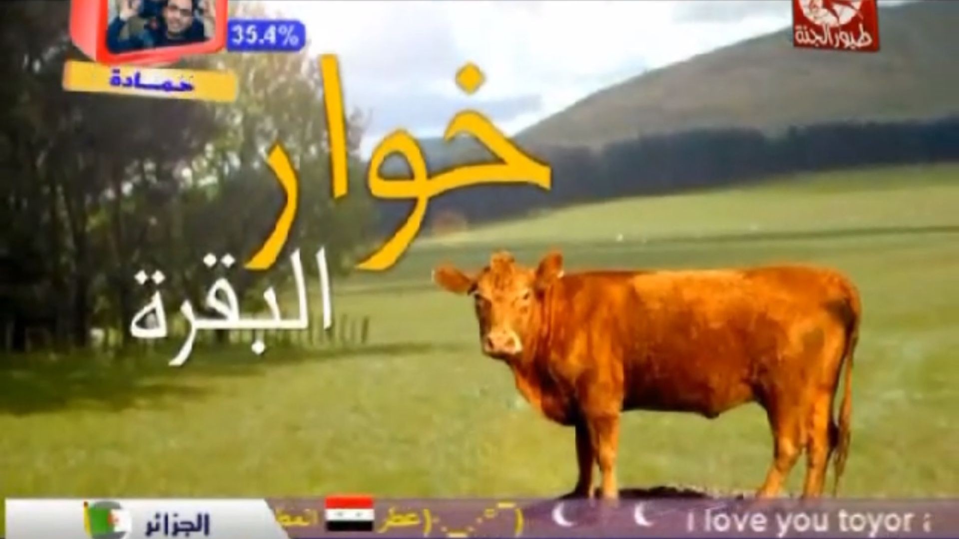 ⁣أصوات الحيوانات خوار البقرة طيور الجنة