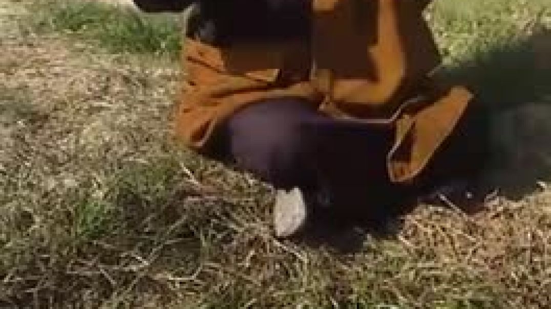 1000052260