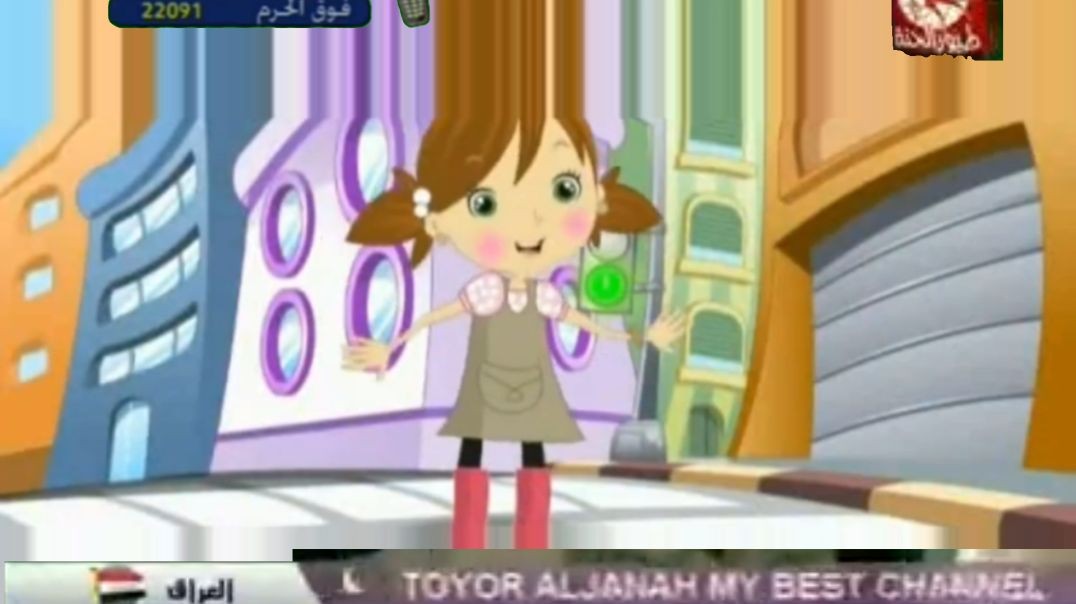 إشارة المرور.flv