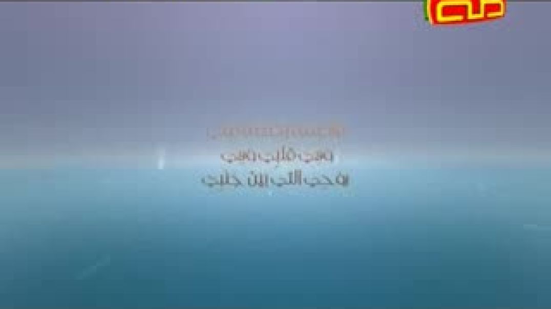 alwadi52