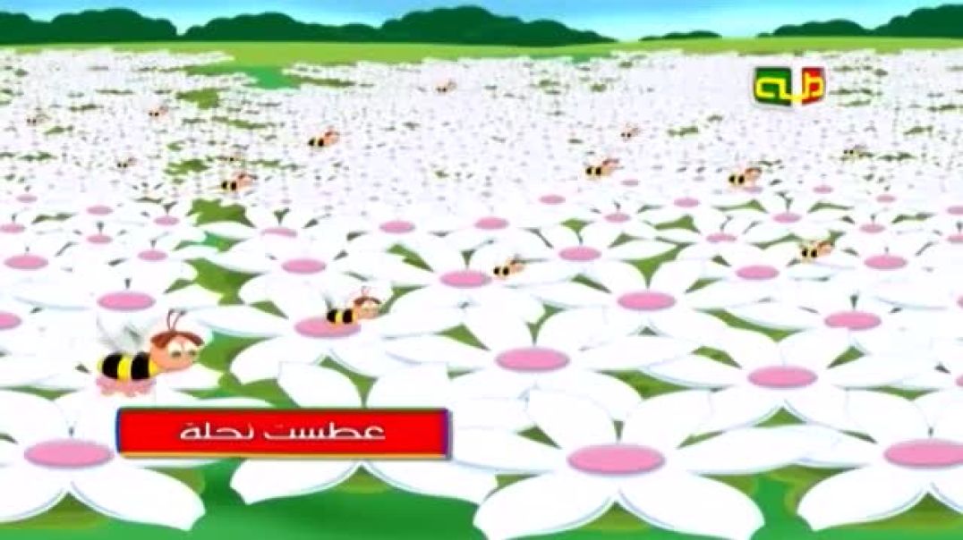 atasat-nahla-v