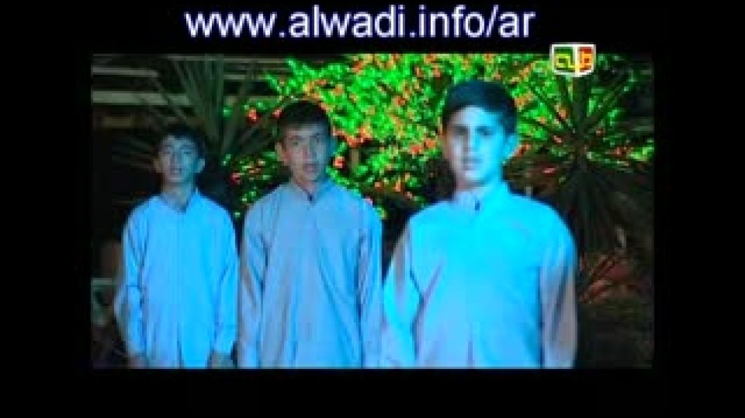 alwadi76