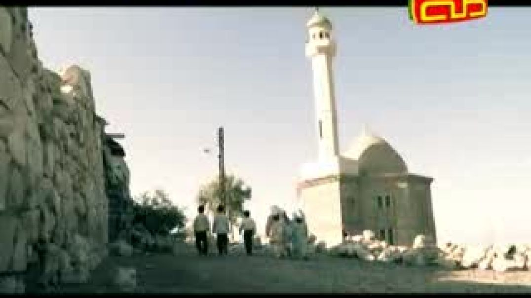 alwadi55