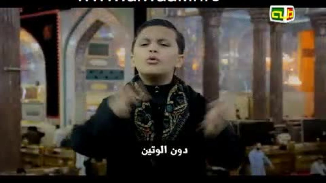 alwadi5