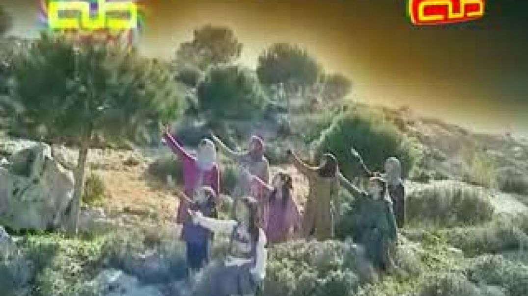 alwadi80