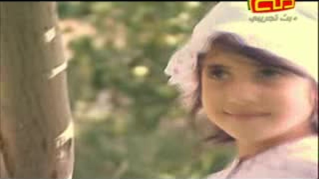 alwadi7