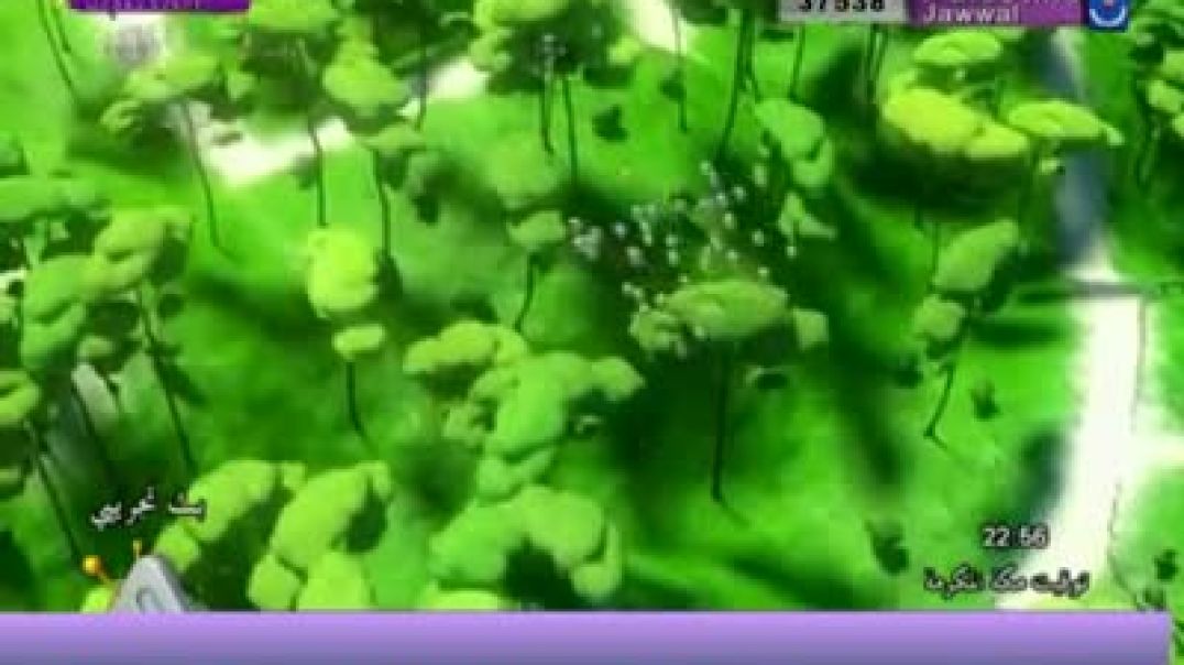 أنشودة يا طيور الفجر - قناة هادي
